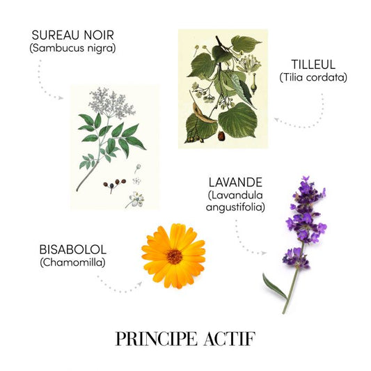 Velour Shampooing pour cuir chevelu sensible