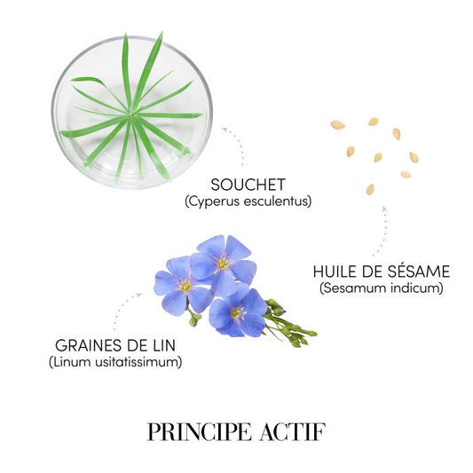 Medavita Prodige Shampooing Régénérant