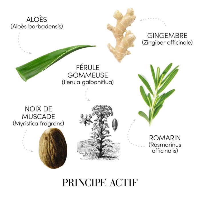 Medavita Puroxine Shampooing Anti-pellicules