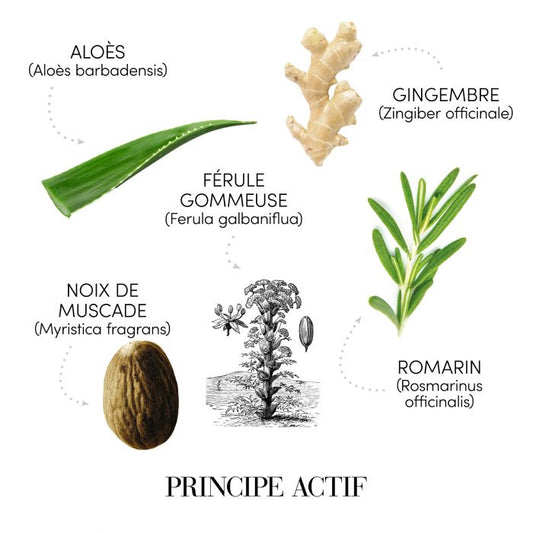 Medavita Puroxine Lotion Antipellicule