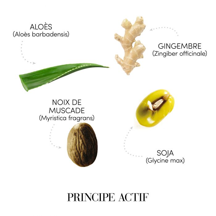 Medavita Requilibre Shampooing Sébo-équilibrant